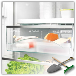 как хранить зелень в холодильнике