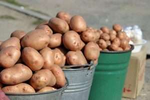 Посадка картофеля в июле