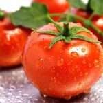 Хранение помидоров на зиму: способы и условия